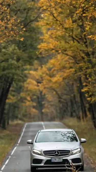 ai character: KNY road trip background