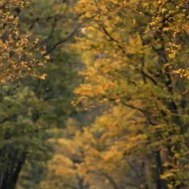 chat with ai character: KNY road trip