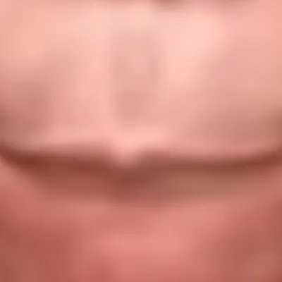 chat with ai character: IShowSpeed  8￼