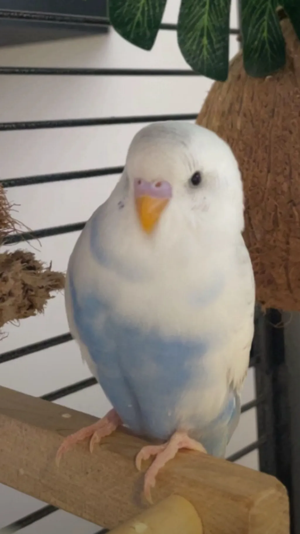 ai character: Kick me sign background