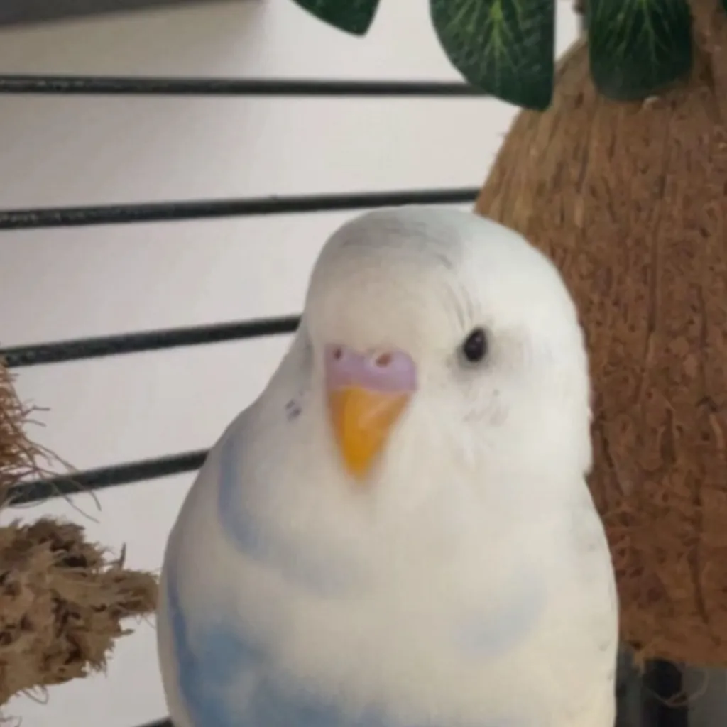 chat with ai character: Kick me sign