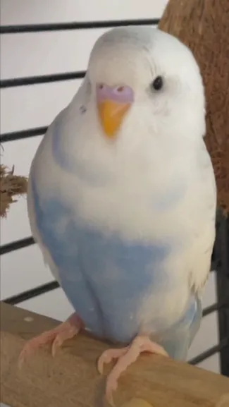 ai character: Kick me sign2￼ background