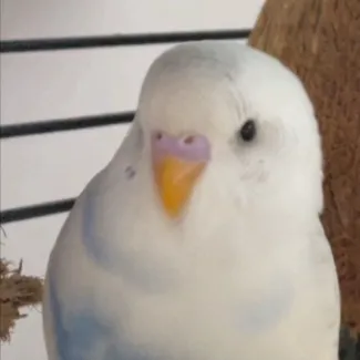 chat with ai character: Kick me sign2￼