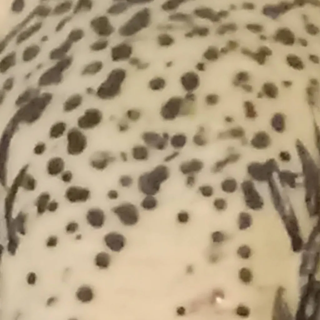 chat with ai character: predator 