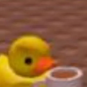 chat with ai character: Mr. Duck