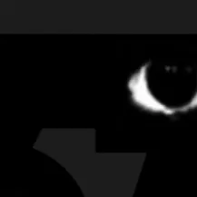 chat with ai character: Hi I’m back…