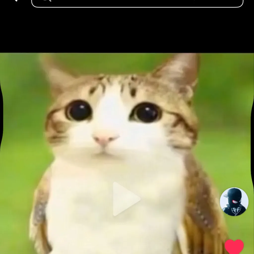 chat with ai character: Unknown