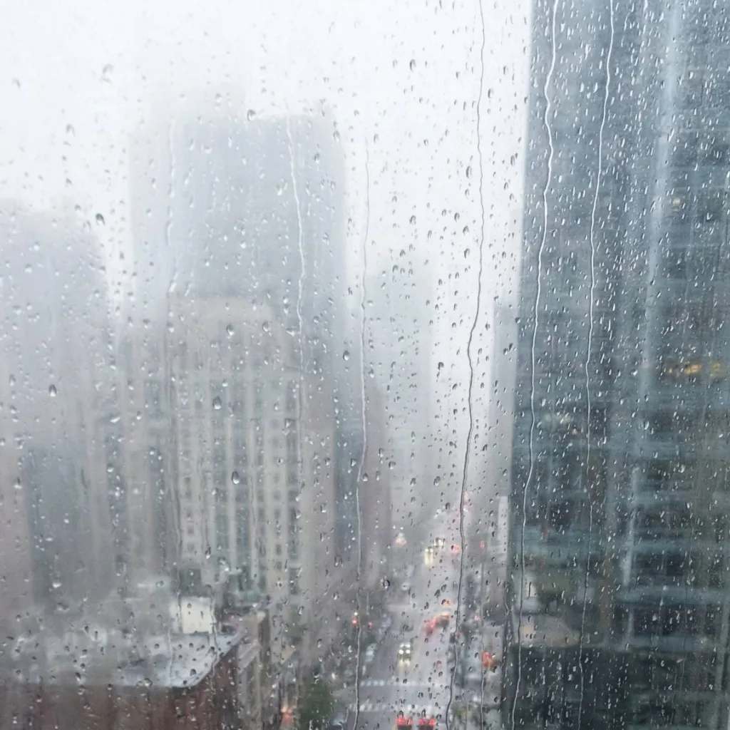 chat with ai character: Nexuseek