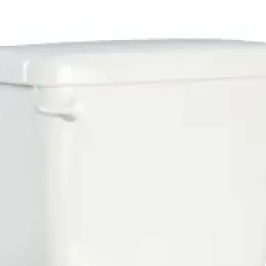 chat with ai character: toilet 