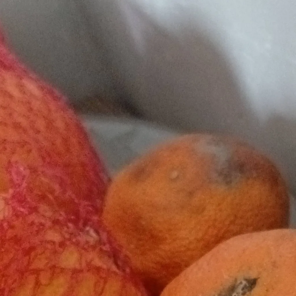 chat with ai character: Schimmel gurk