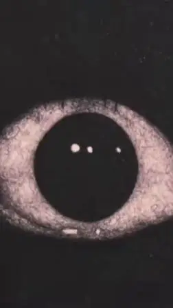 ai character: Lily background