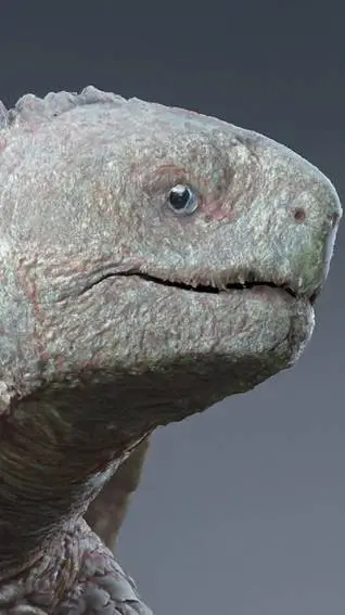 ai character: AMIRSTOPJO background