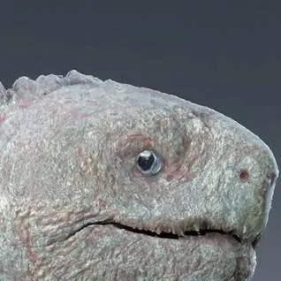 chat with ai character: AMIRSTOPJO