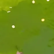 chat with ai character: Josh