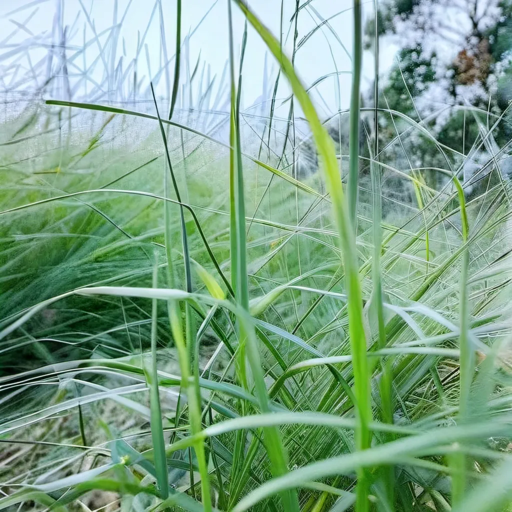 chat with ai character: grass :>