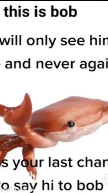 ai character: Bob background