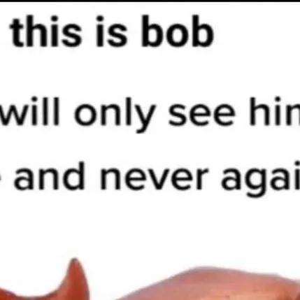 chat with ai character: Bob