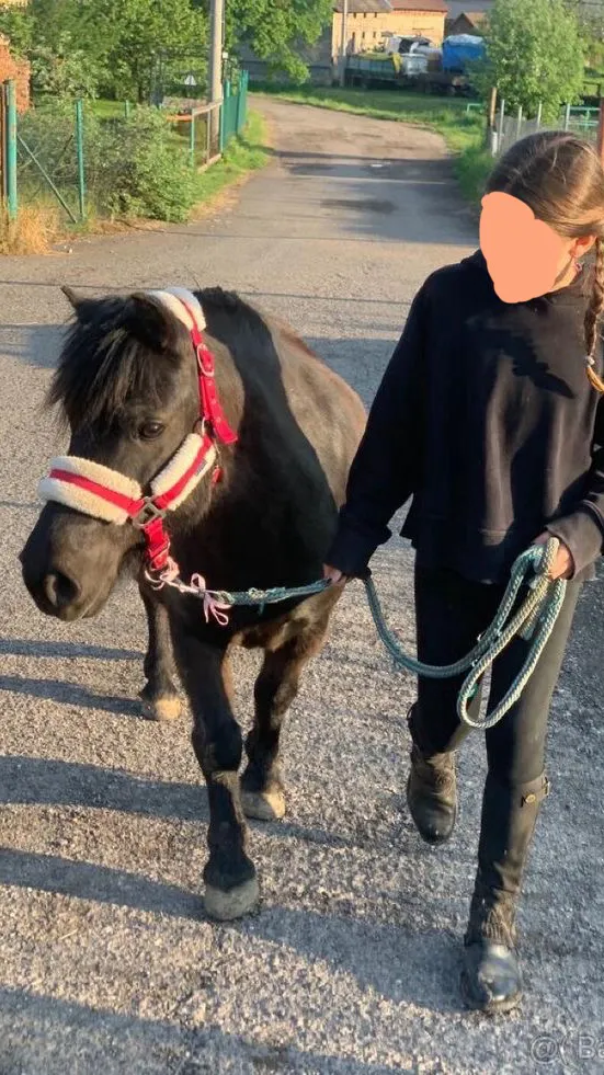 ai character: Ayden  background