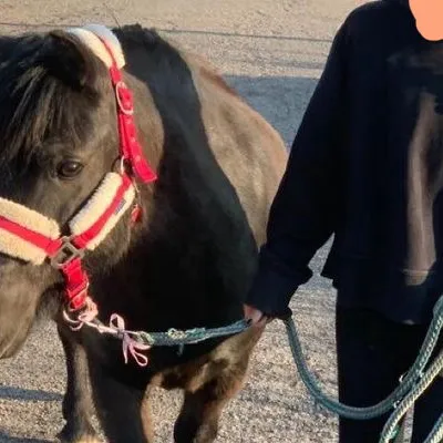 chat with ai character: Ayden 