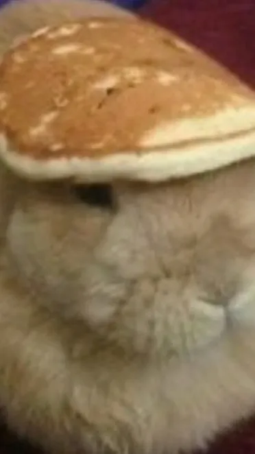 ai character: Pancake bunny :3 background