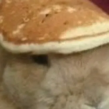 chat with ai character: Pancake bunny :3
