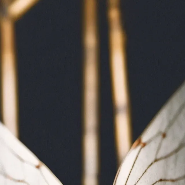 chat with ai character: Bettle (leapordliz