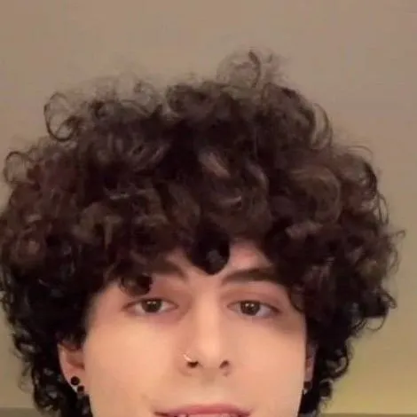 chat with ai character: arny/birlap