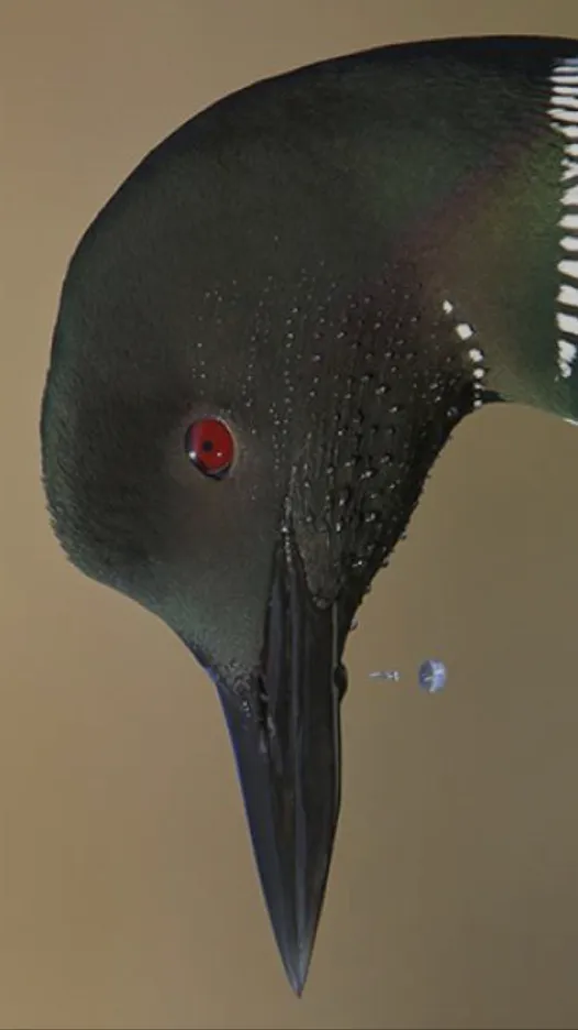 ai character: Bird background