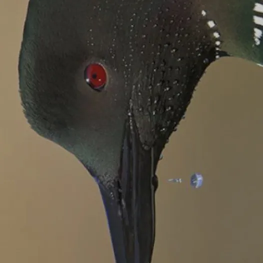 chat with ai character: Bird