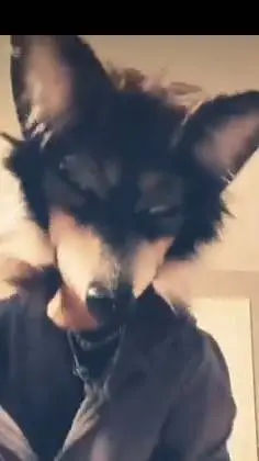 ai character: Therian meet up v2 background