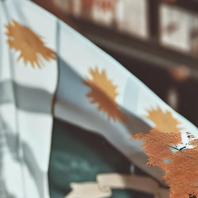 chat with ai character: Class Europe