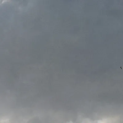 chat with ai character: Fandark FD 15