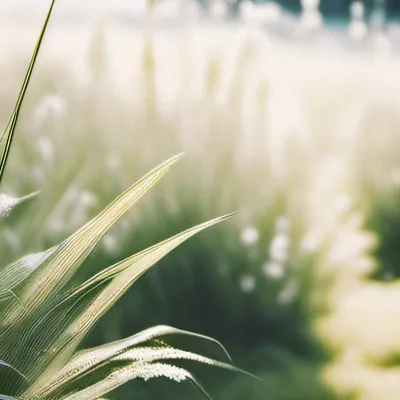 chat with ai character: Go touch grass 4