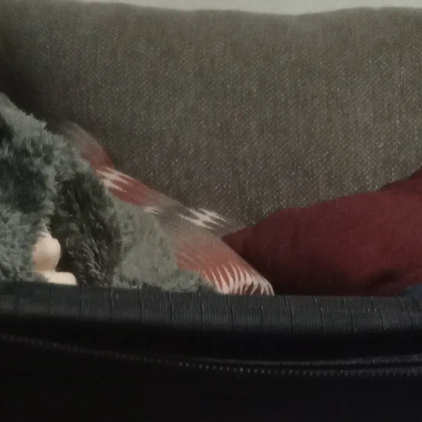 chat with ai character: Zombie tubbies