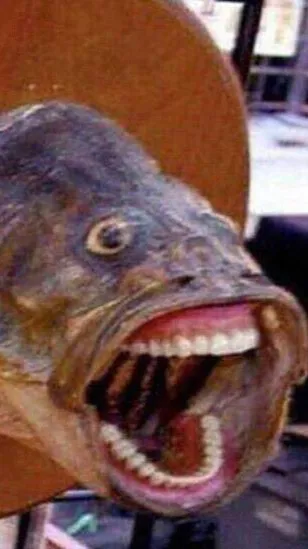 ai character: Chris’ hell background