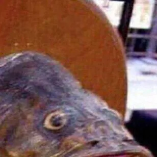 chat with ai character: Chris’ hell