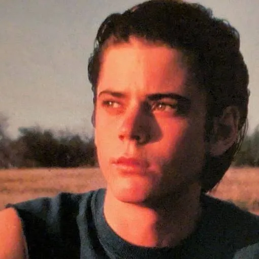 chat with ai character: Ponyboy Curtis 