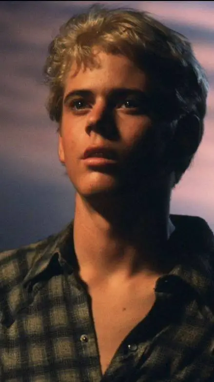Talkie AI - Chat with Ponyboy Curtis 