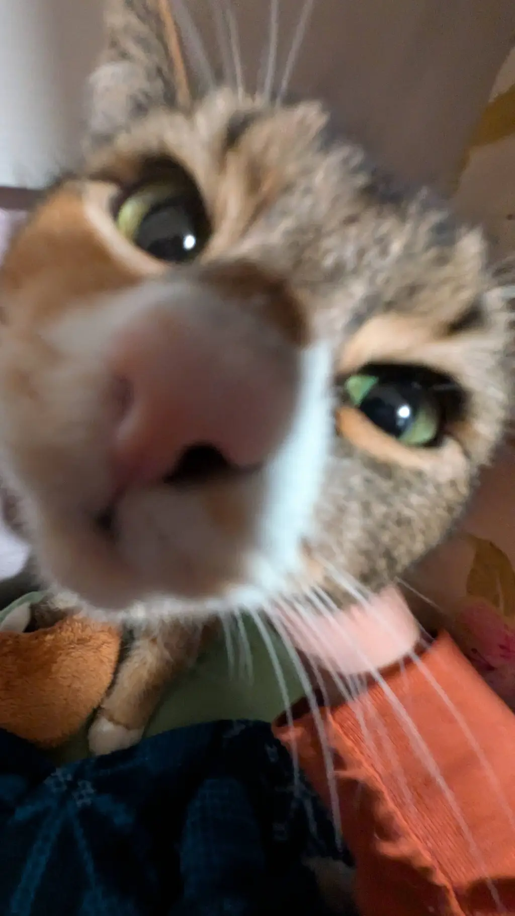 ai character: Language support  background