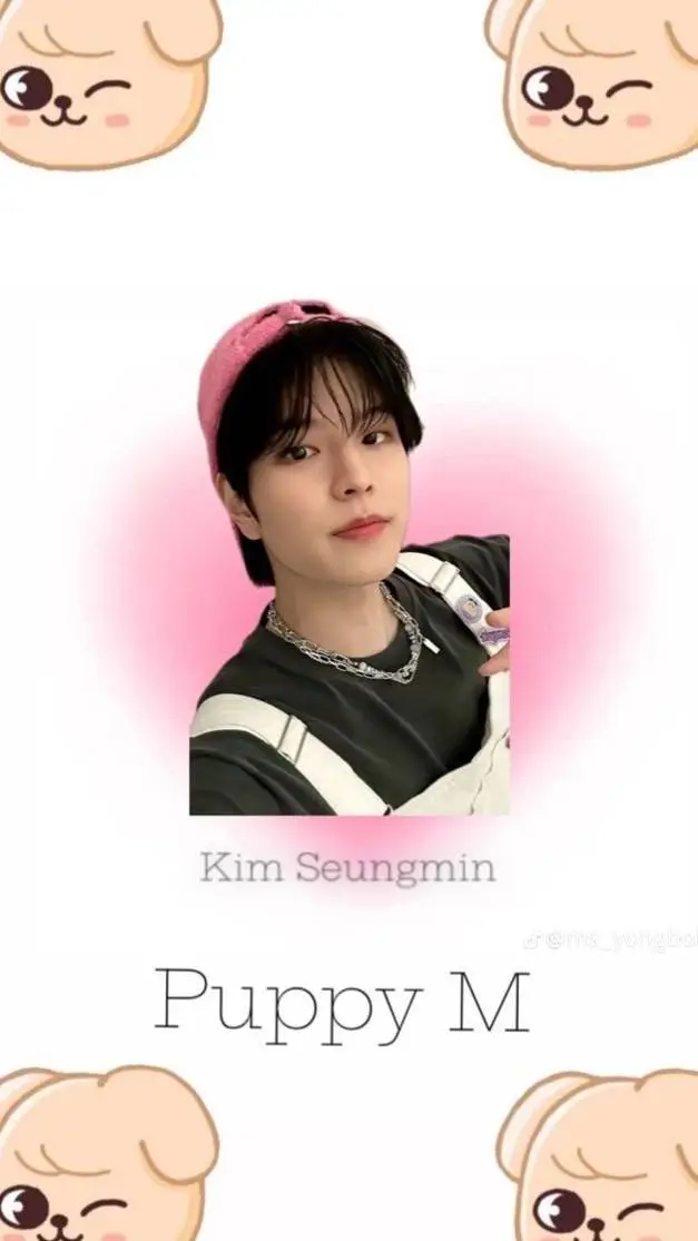 ai character: seungmin background