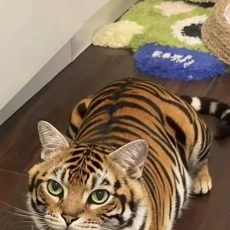 chat with ai character: Karen 🖕