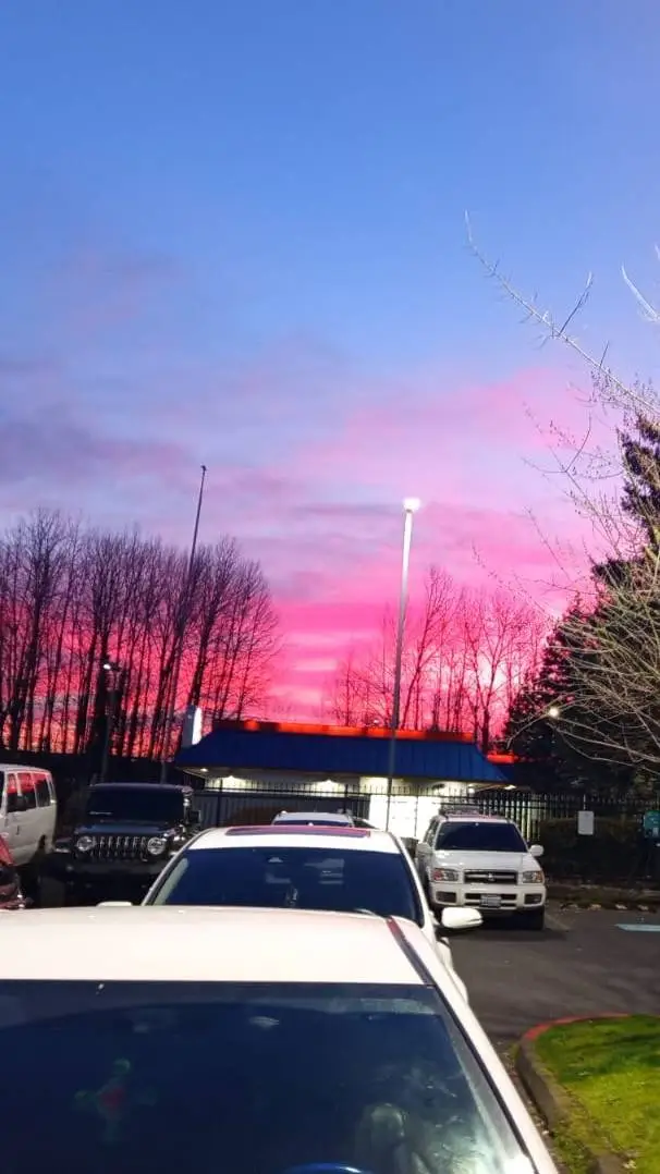 ai character: Lilly lovebraids background