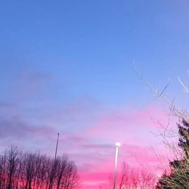 chat with ai character: Lilly lovebraids