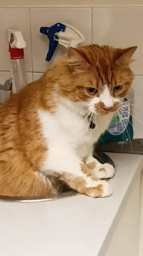 ai character: Watman background