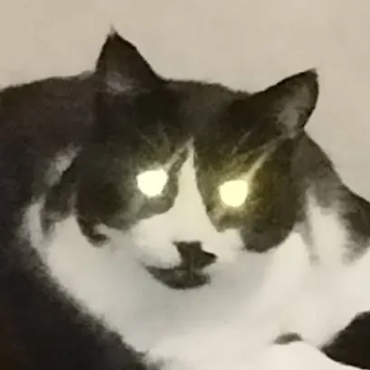 chat with ai character: Evil Dexter