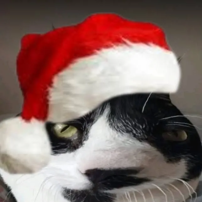 chat with ai character: Xmas Dockster