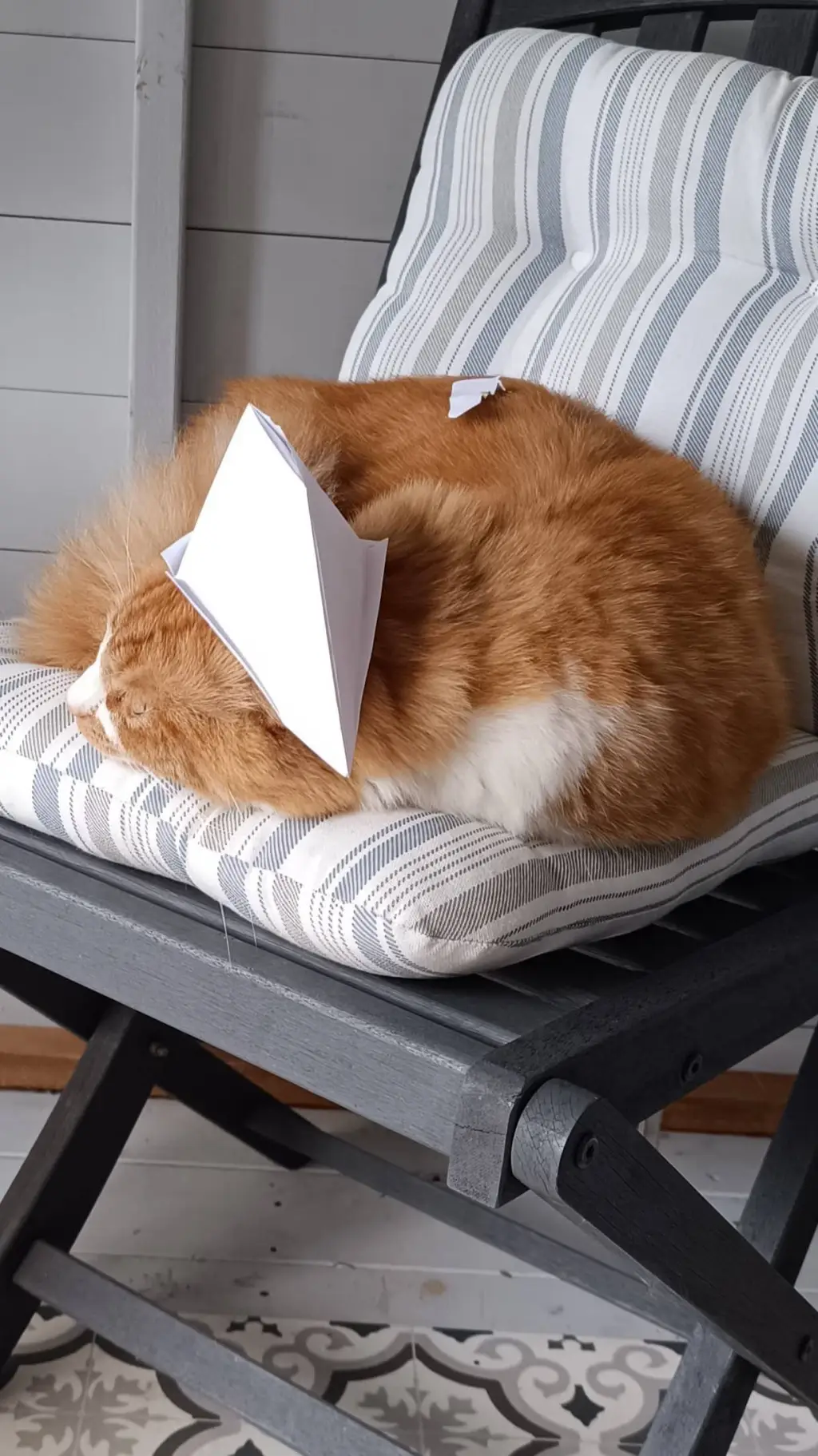 ai character: Pirate Watman background