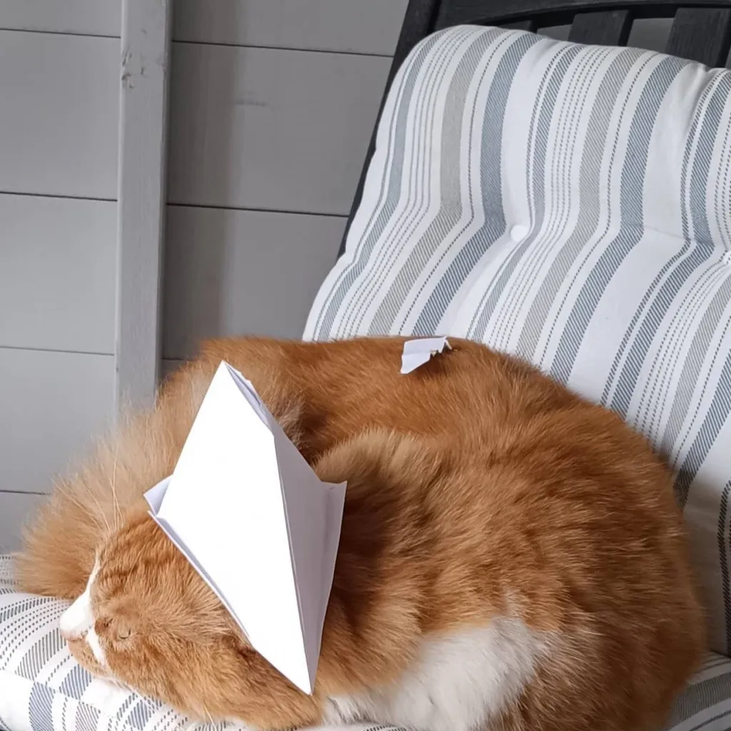 chat with ai character: Pirate Watman