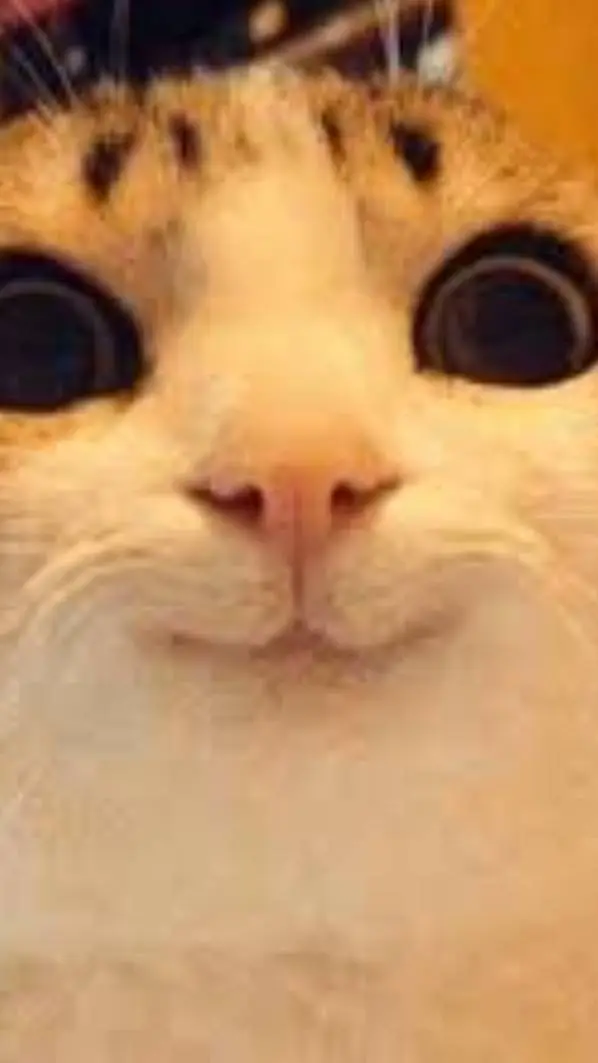 ai character: Dnb meets you!  background