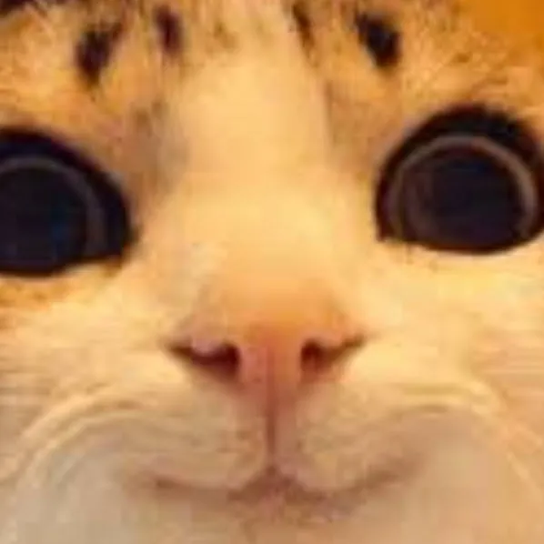 chat with ai character: Dnb meets you! 